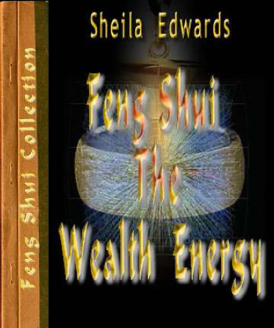 Feng Shui The Wealth Energy van Sheila Edwards